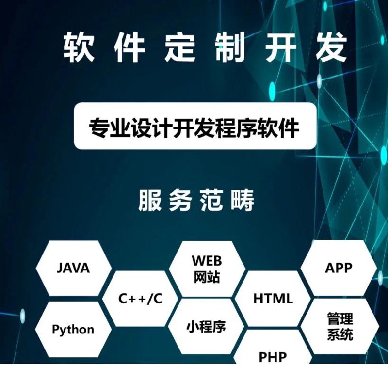 软件定制开发：企业数字化转型的加速器