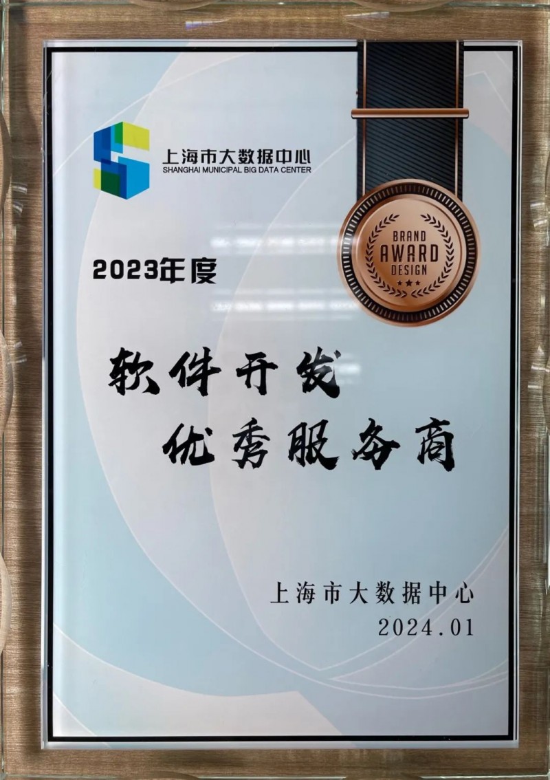 上海软件开发行业的发展与未来
